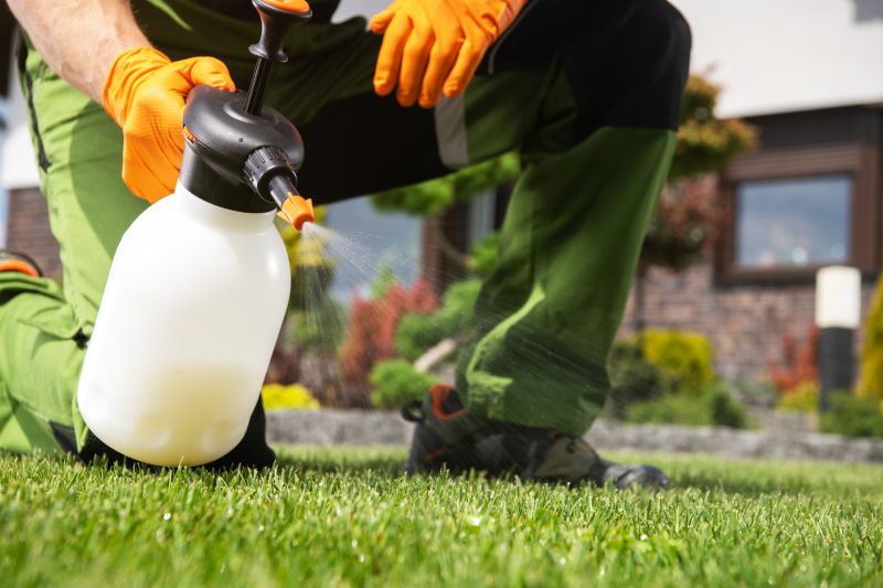 Professional Weed Spraying Services