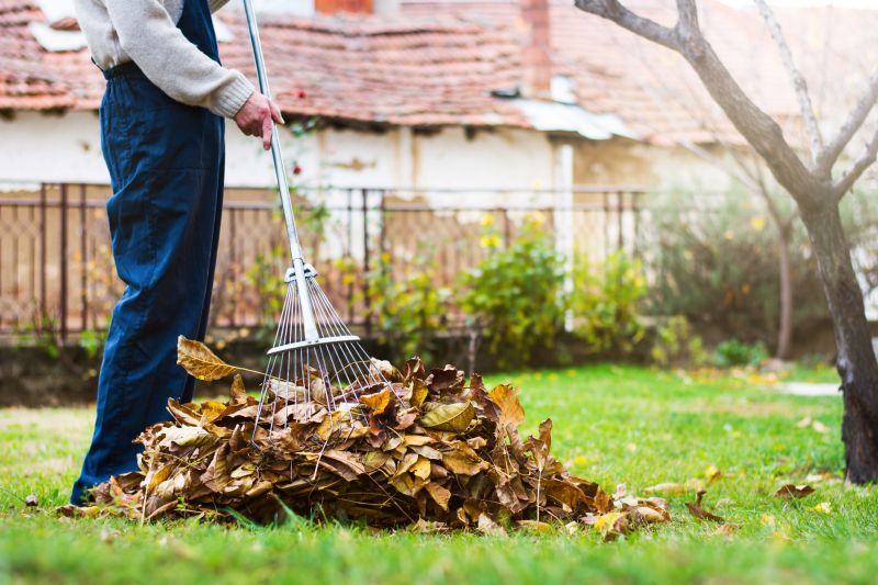 Fall Landscape Cleanup