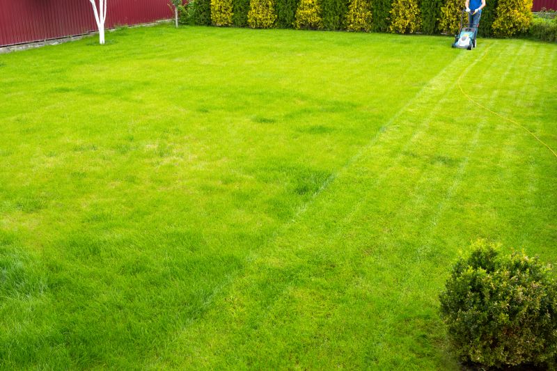 Healthy Lawn Overview