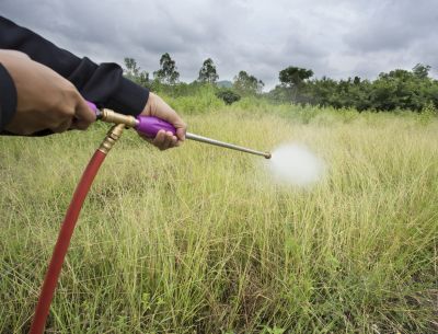 Weed Eradication